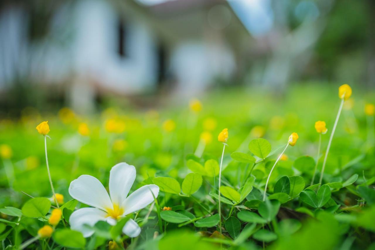 Bai Jai Garden Home Ao Nang 외부 사진